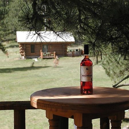 Renegade Log Cabin Custer Exteriér fotografie