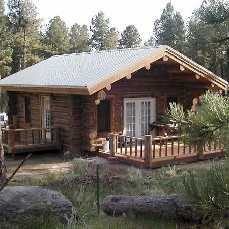 Renegade Log Cabin Custer Exteriér fotografie