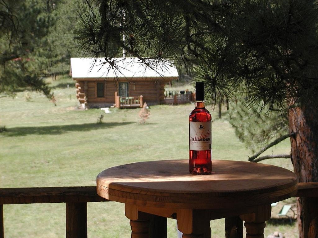 Renegade Log Cabin Custer Exteriér fotografie